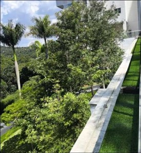 Revitalização Paisagismo